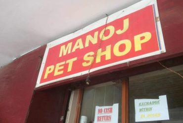 Manoj Pet Store in Faridabad
